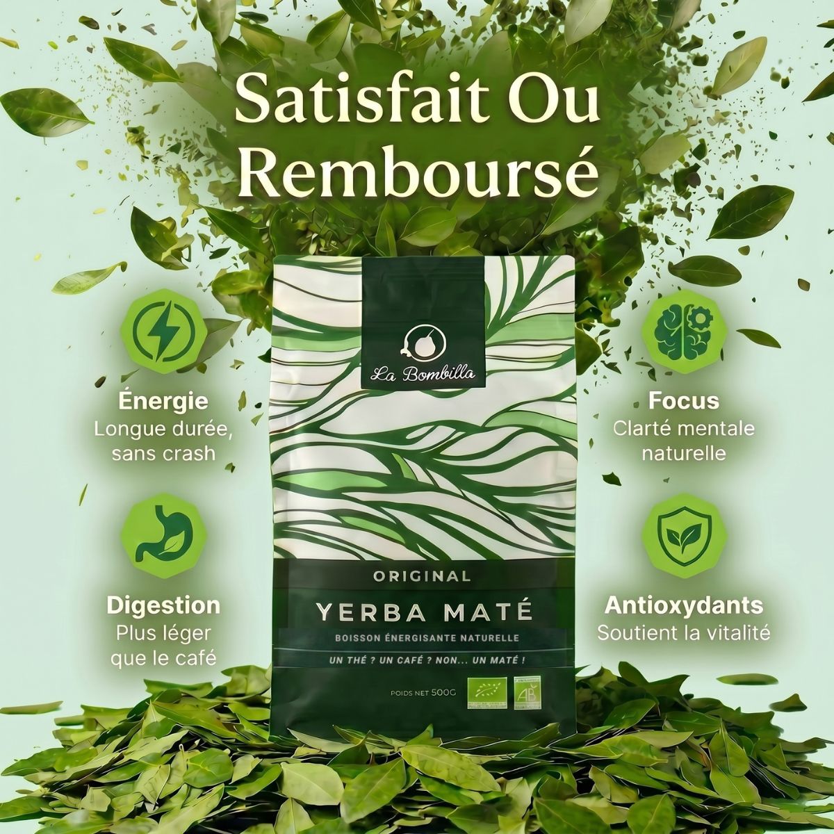 Pack Maté Découverte