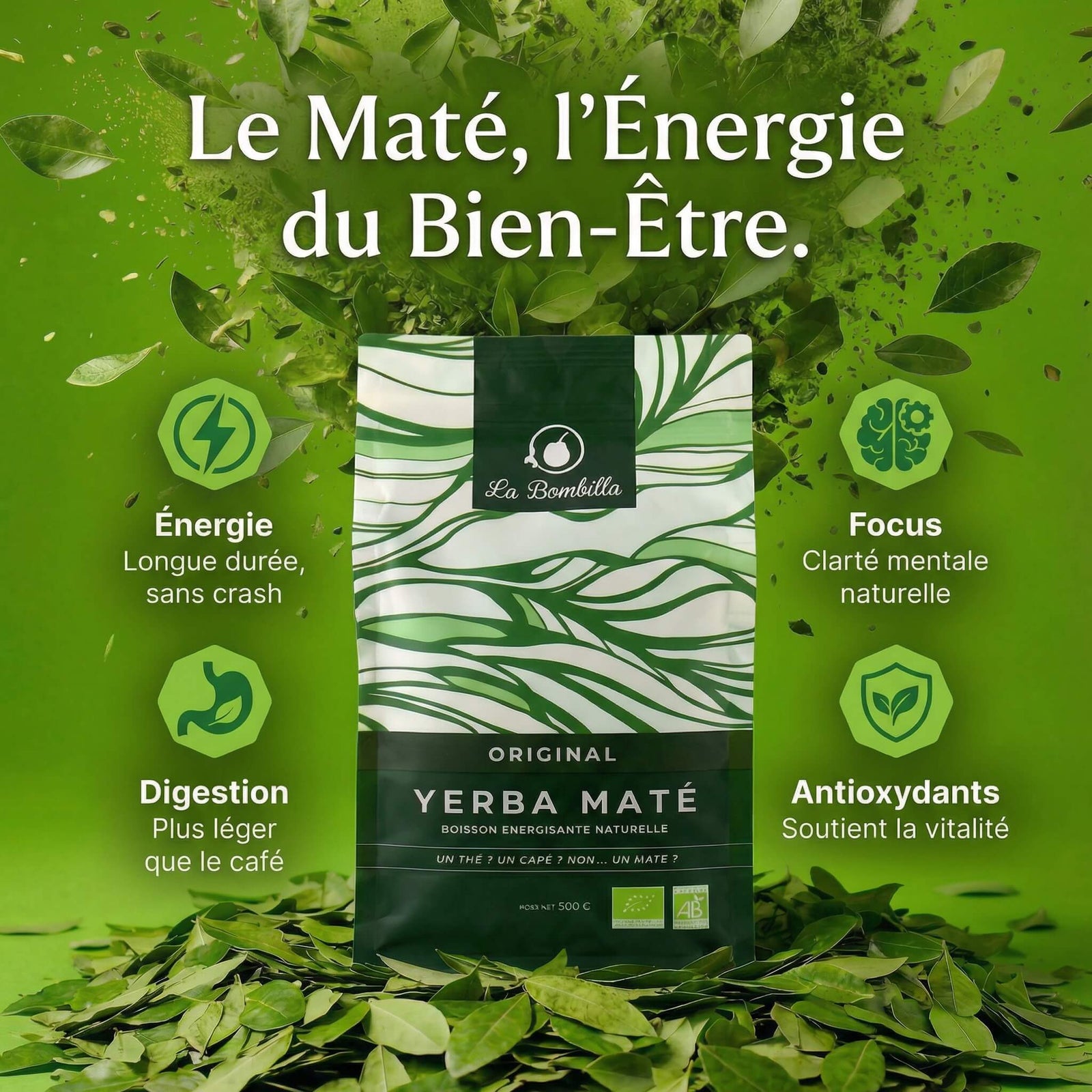Pack Découverte